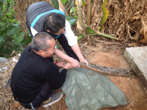 �����������һ�����������Ѱ�򡱱���ץ��